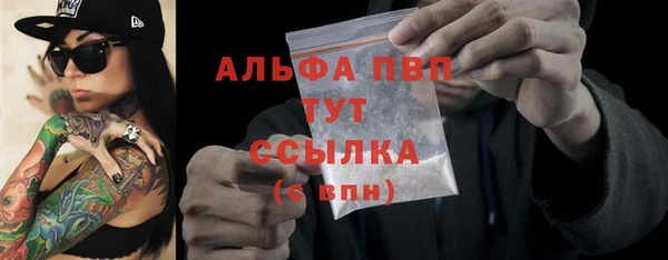 PSILOCYBIN Баксан