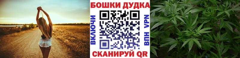 магазин  наркотиков  Новохопёрск  МЕГА   Марихуана Ganja 